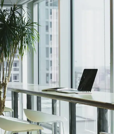 Tibco Services: A remarkable growth story with Nettailer